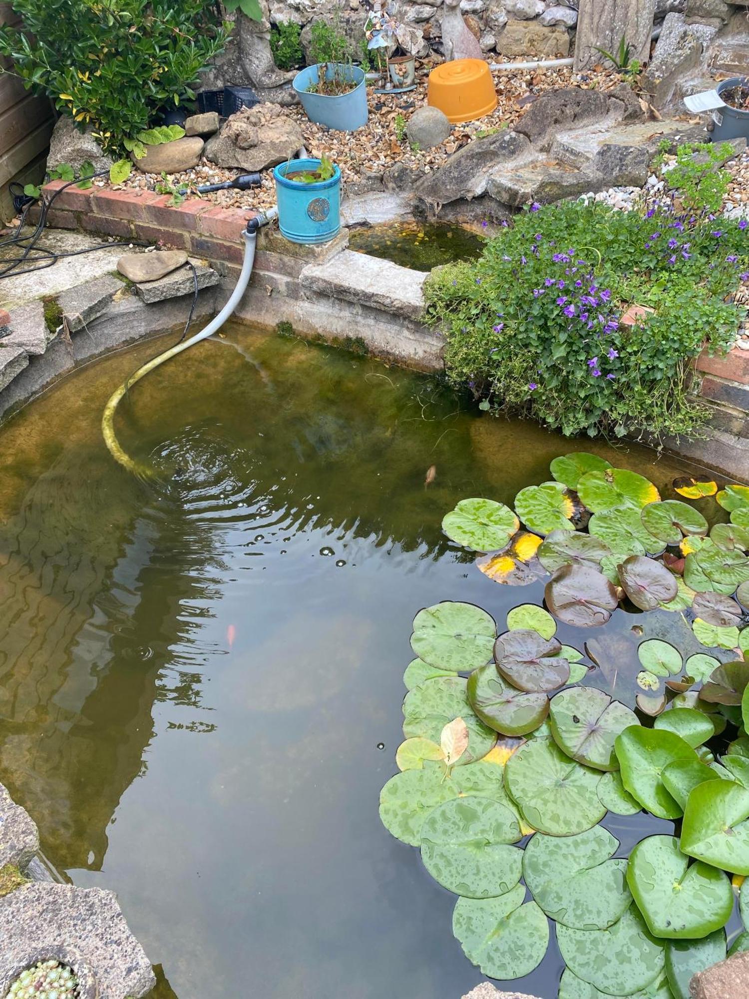 Pond Cottage Purley Ngoại thất bức ảnh