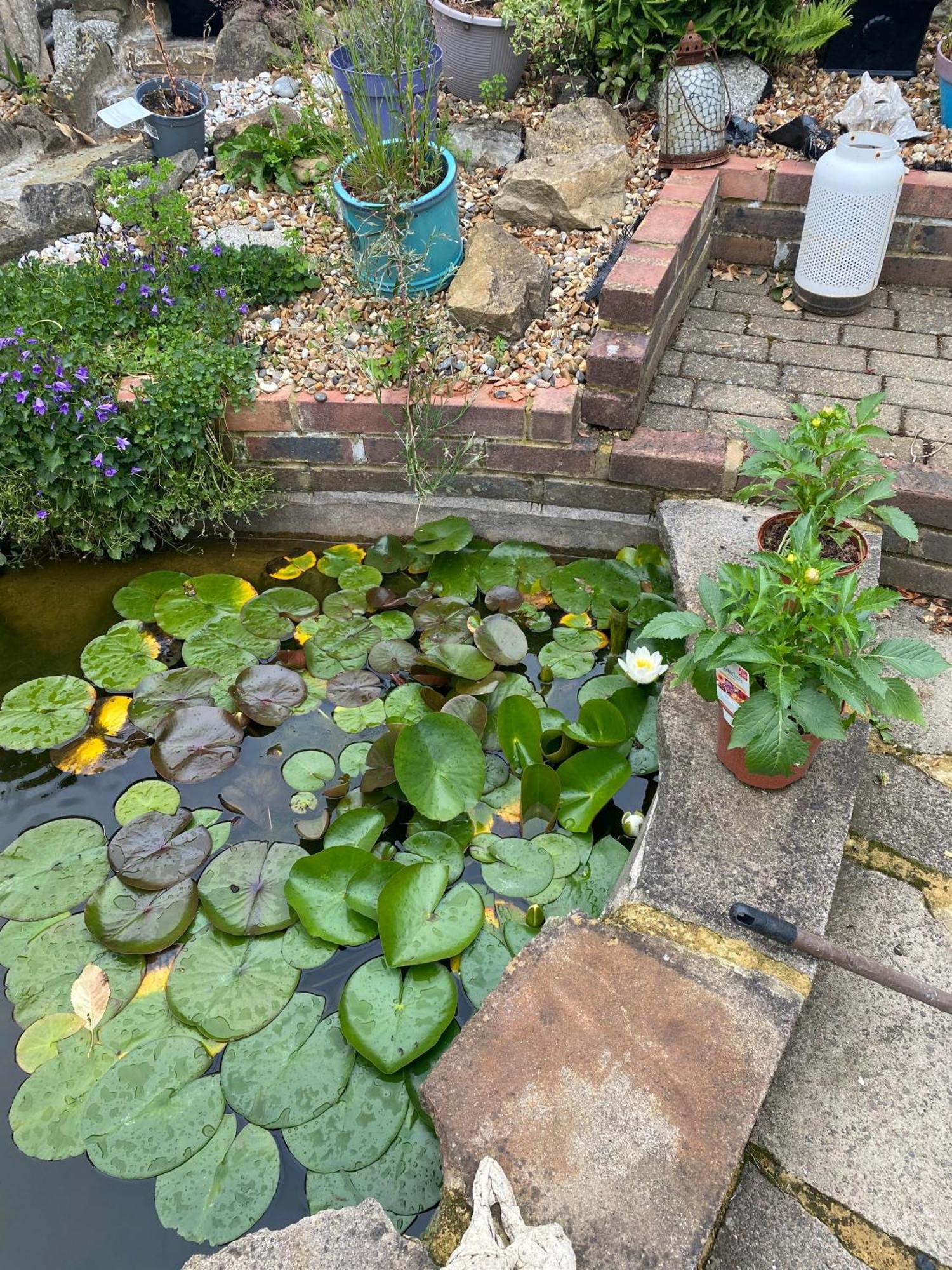 Pond Cottage Purley Ngoại thất bức ảnh